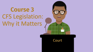 3. CFS Legislation: Why it Matters